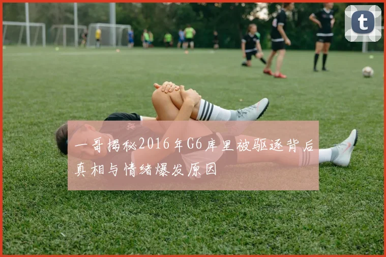 一哥揭秘2016年G6库里被驱逐背后真相与情绪爆发原因