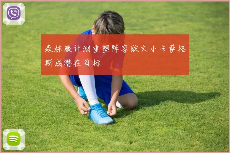 森林狼计划重塑阵容欧文小卡萨格斯成潜在目标